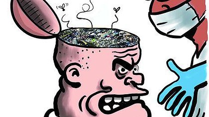 Illustration article