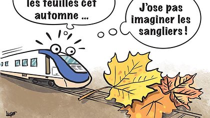 Illustration article