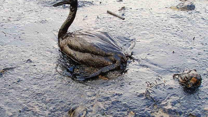 Illustration - Écologie : la véritable menace contre l’environnement et la planète, c’est le capitalisme